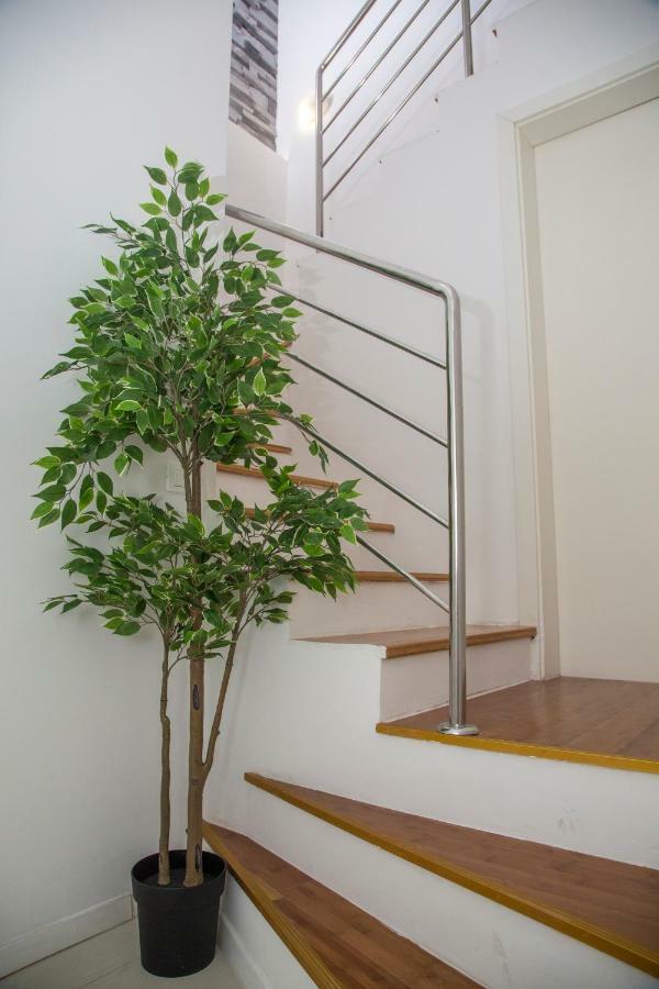 Apartments Victoria دوبروفينك المظهر الخارجي الصورة