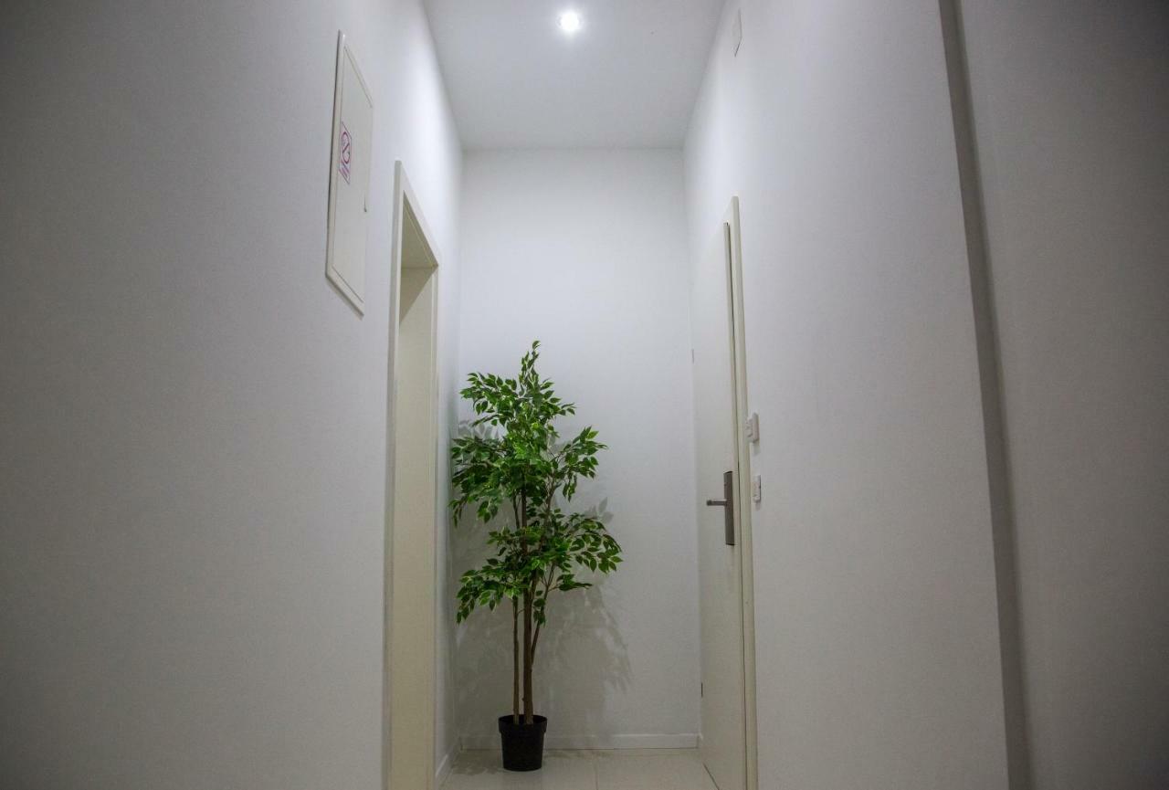 Apartments Victoria دوبروفينك المظهر الخارجي الصورة